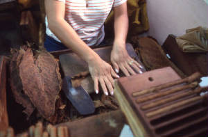 female-cigar-roller.jpg